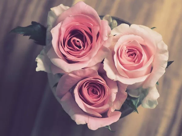 Faut il offrir des fleurs à un mariage?